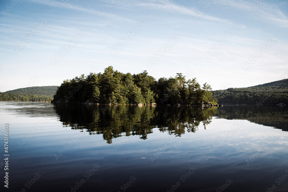 Obraz premium reflection of trees