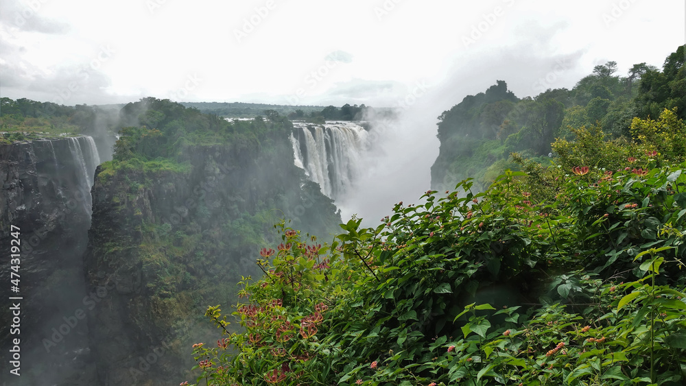 Victoria Falls streams are collapsing from the edge of the plateau. There is a thick fog over the gorge. In the foreground is a picturesque rock, lush green vegetation, red flowers. Zimbabwe