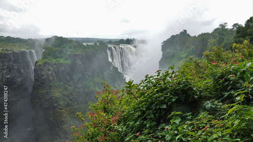 Victoria Falls streams are collapsing from the edge of the plateau. There is a thick fog over the gorge. In the foreground is a picturesque rock, lush green vegetation, red flowers. Zimbabwe
