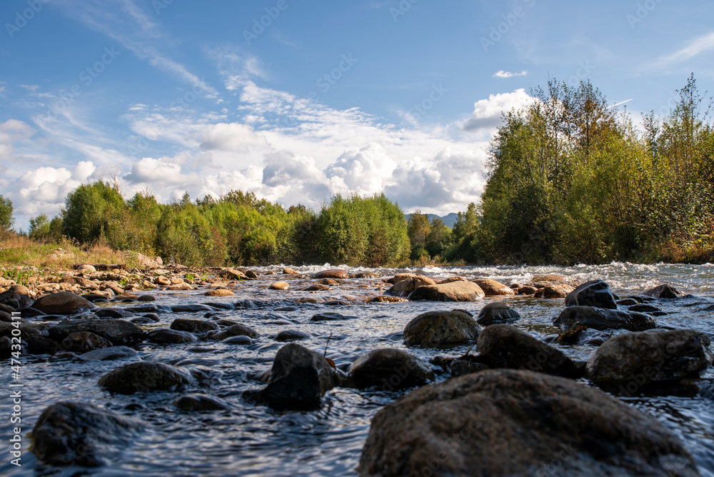 mountain river bed with stones on the background of forest and mountains in the distance mountain river bed with stones on the background of forest and mountains in the distance