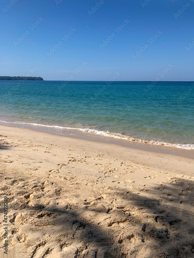 beach, palm trees and Andaman sea in Thailand on Phuket island beach, palm trees and Andaman sea in Thailand on Phuket island