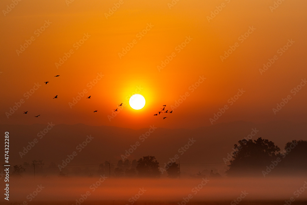 Landscape of view The scenery as the sun rises, happy new day concept. Landscape of view The scenery as the sun rises, happy new day concept.