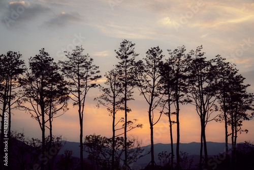 sunset over trees