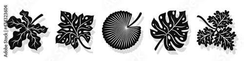 Set of vector black leaves silhouettes and shadow isolated on white background. Abstract cartoon leaf or foliage flat shape icon style. Design for logo, stencil or pattern artwork.