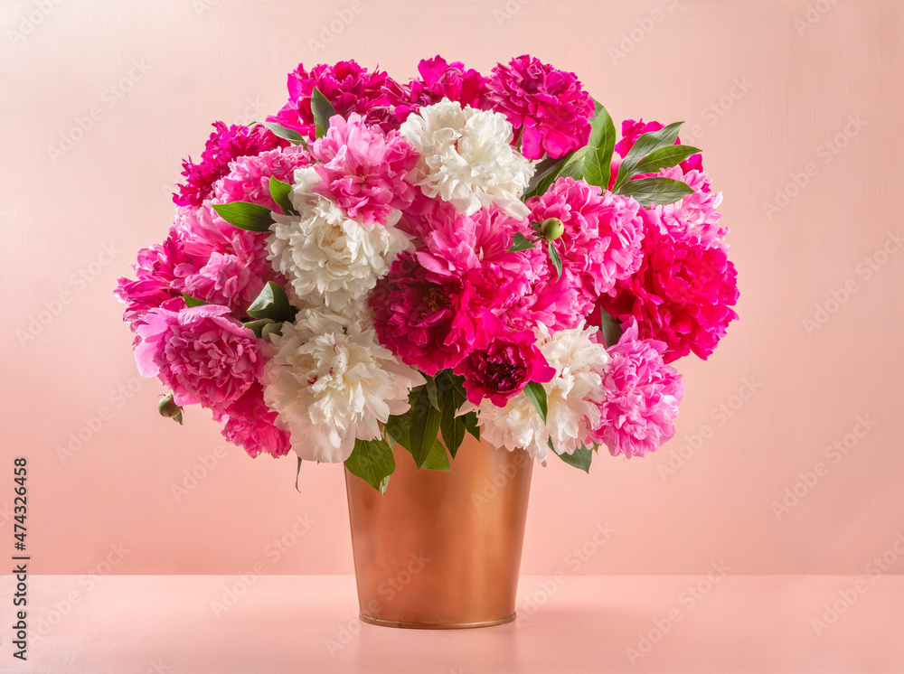 Bouquet of lovely peonies on a pink background