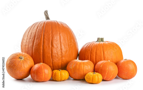 a lot of pumpkin isolate on a white background