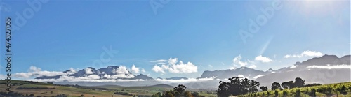 Landscape with winefields and the Hottentots Holland Mountains in the Cape Winelands Stellenbosch photo