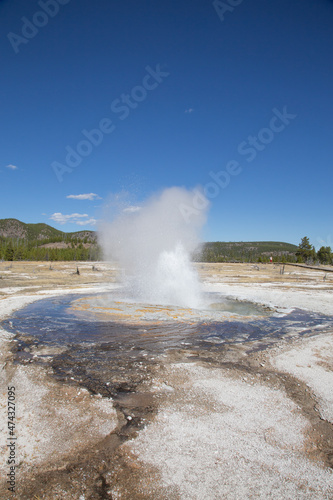 Lower geyser basin