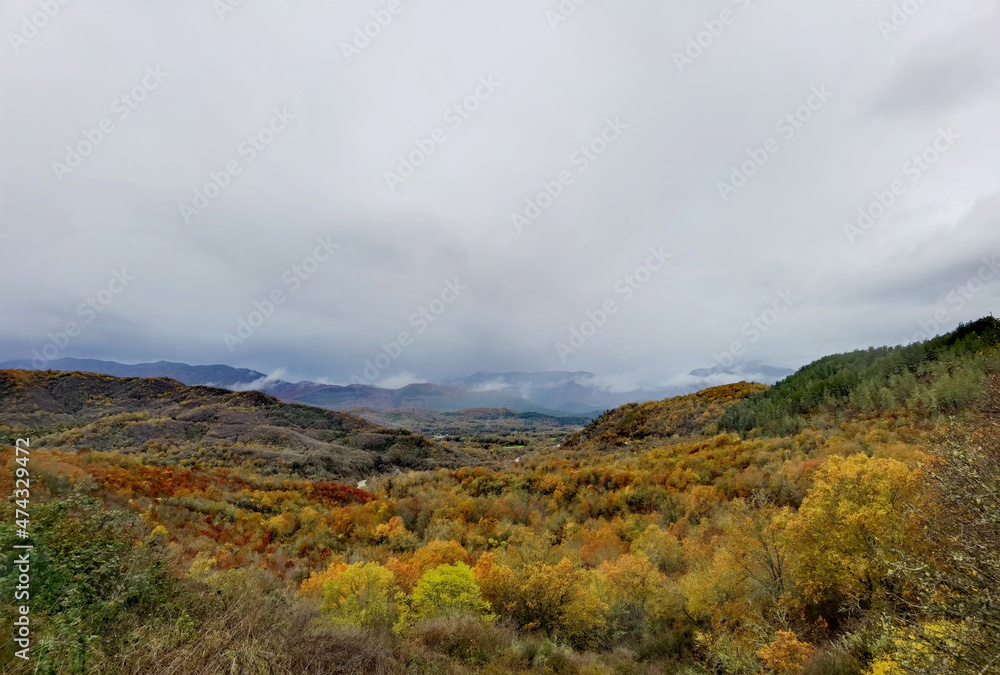 road street in winter and autumn in vrosina village greece rain fog road street in winter and autumn in vrosina village greece rain fog