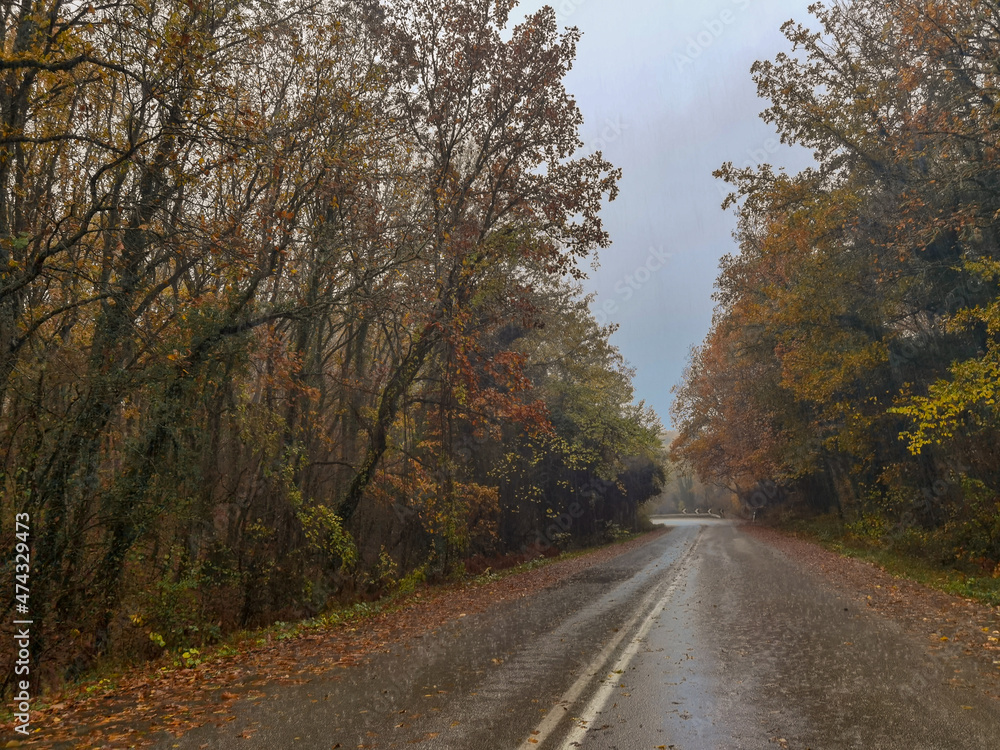road street in winter and autumn in vrosina village greece rain fog