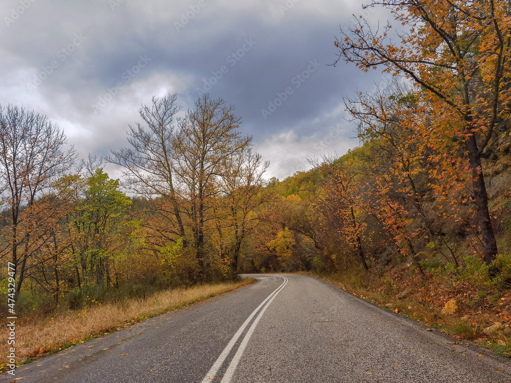 road street in winter and autumn in vrosina village greece rain fog road street in winter and autumn in vrosina village greece rain fog