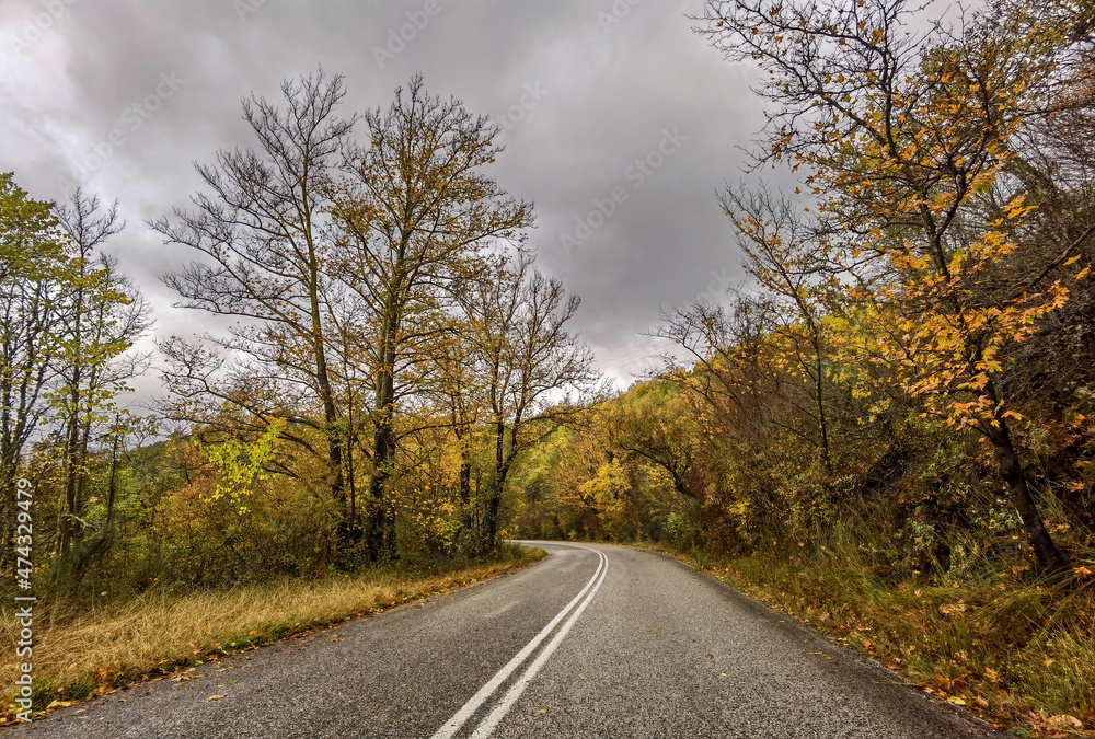 road street in winter and autumn in vrosina village greece rain fog