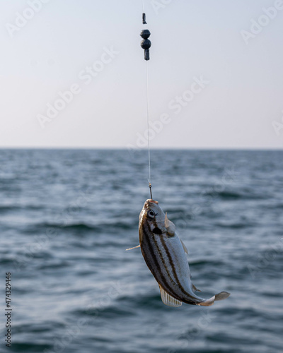 Fishing in the sea.