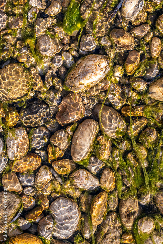 multi colorful stones under the clean water. multi colorful stones under the clean water.