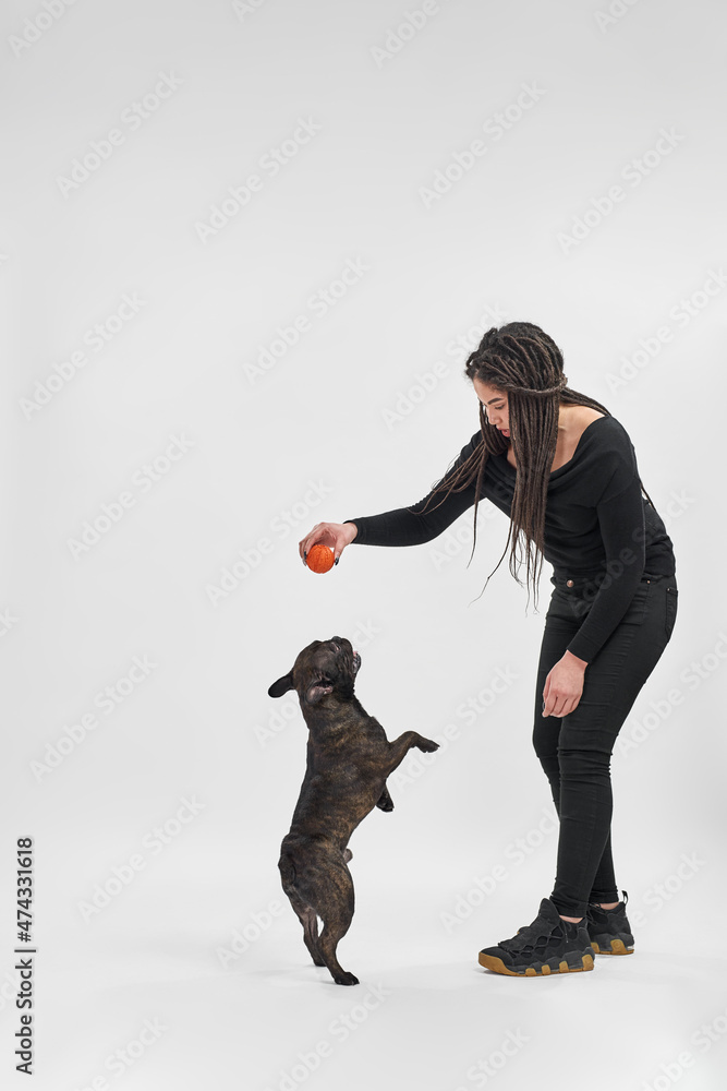 Girl playing with ball with French Bulldog dog Girl playing with ball with French Bulldog dog