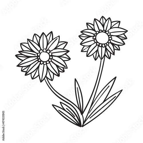 Graphic flower vector illustration isolated on white background for Coloring book page design for greeting card, invitation, Henna drawing and tattoo template.