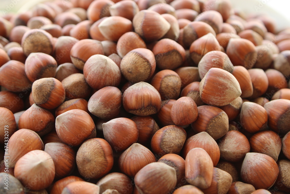 Natural dry hazelnuts close up view, harvested fruits in summer
Natural dry hazelnuts close up view, harvested fruits in summer