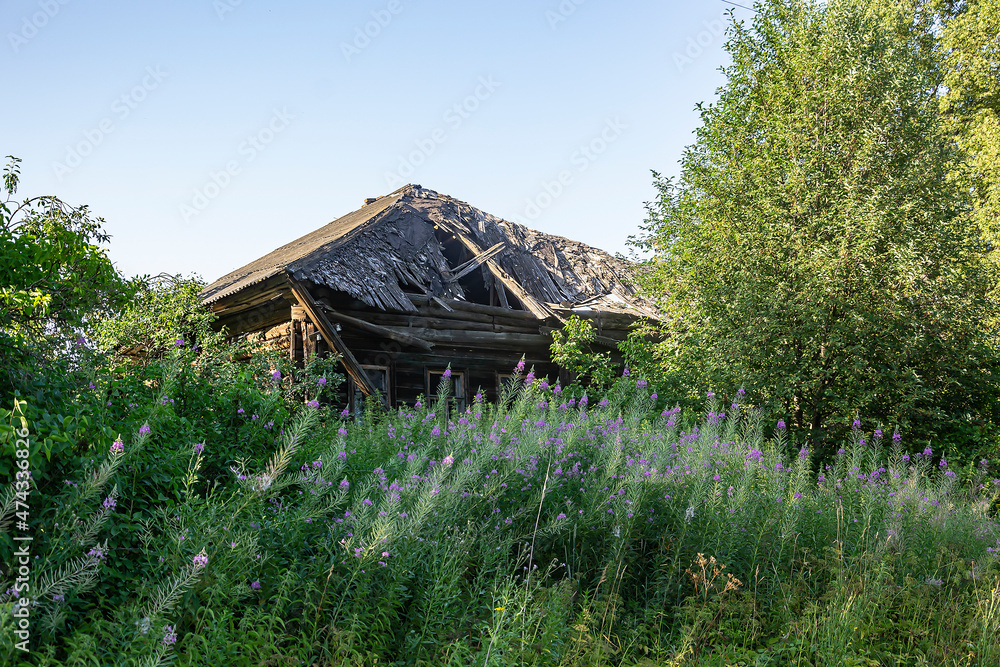 Fototapeta premium abandoned houses in the village