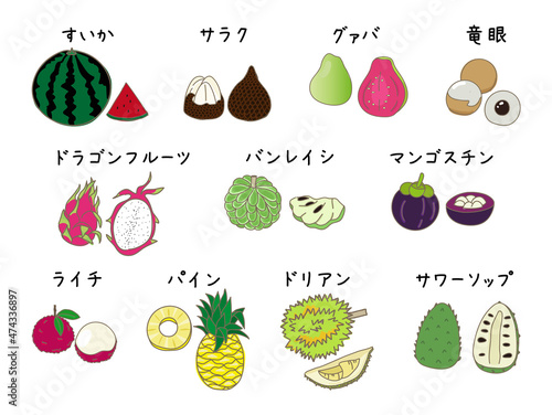南国のフルーツの手書きイラストセット