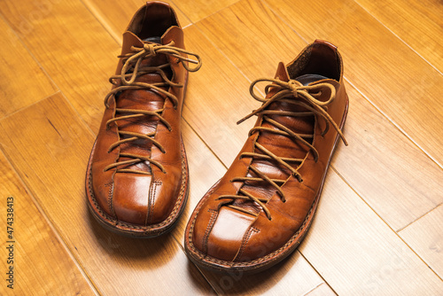 Slika na platnu I took care of my precious leather shoes.