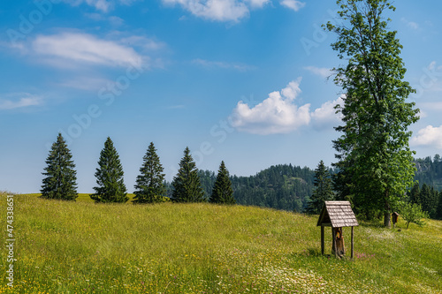 Old weatherd wooden wayside shrine along the Study Trail Hochmoor Leckermoos in Lower Austria