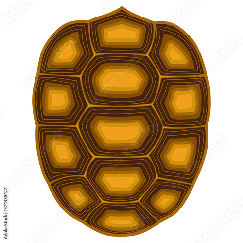 Turtle and tortoise shell, sulcata, indian star, aldabra, galapagos tortoise shell, turtle shell Vector illustration in white background. 