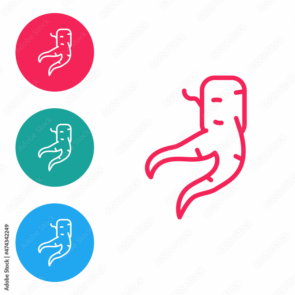 Red line Ginger root icon isolated on white background. Set icons in circle buttons. Vector Red line Ginger root icon isolated on white background. Set icons in circle buttons. Vector