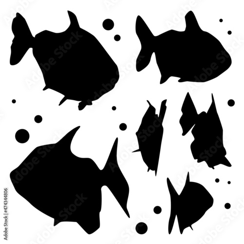 Vector Collection Set of Freshwater Fish Silhouettes photo