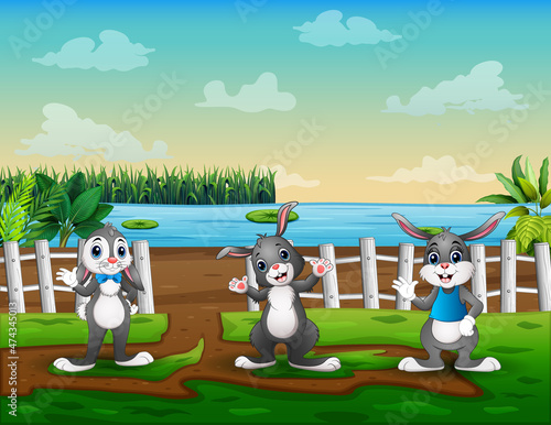 Happy three bunnies in the farm illustration