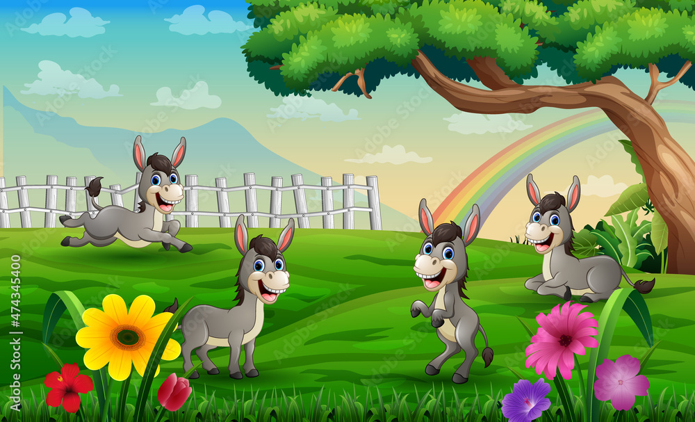 Four donkeys playing in the meadow on a rainbow background