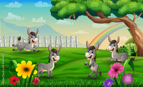 Four donkeys playing in the meadow on a rainbow background