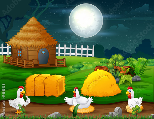 Night landscape with hens at the farm illustration