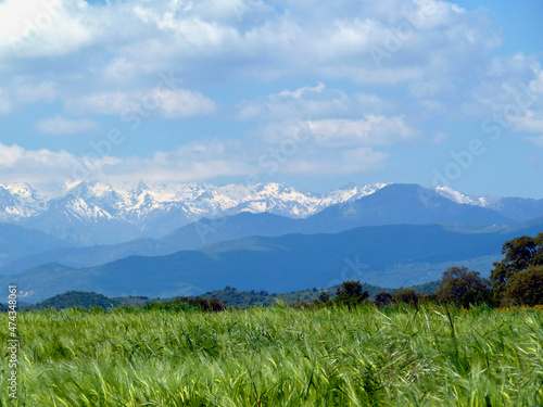 Panoramic view of snow-capped mountains seen from the lush-green coast in spring. Corsica, France.