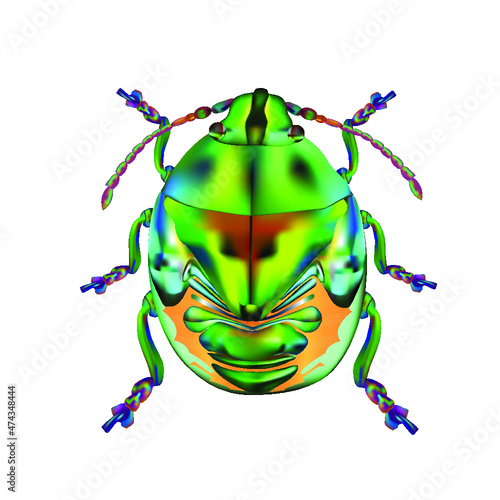  cute beetle insect