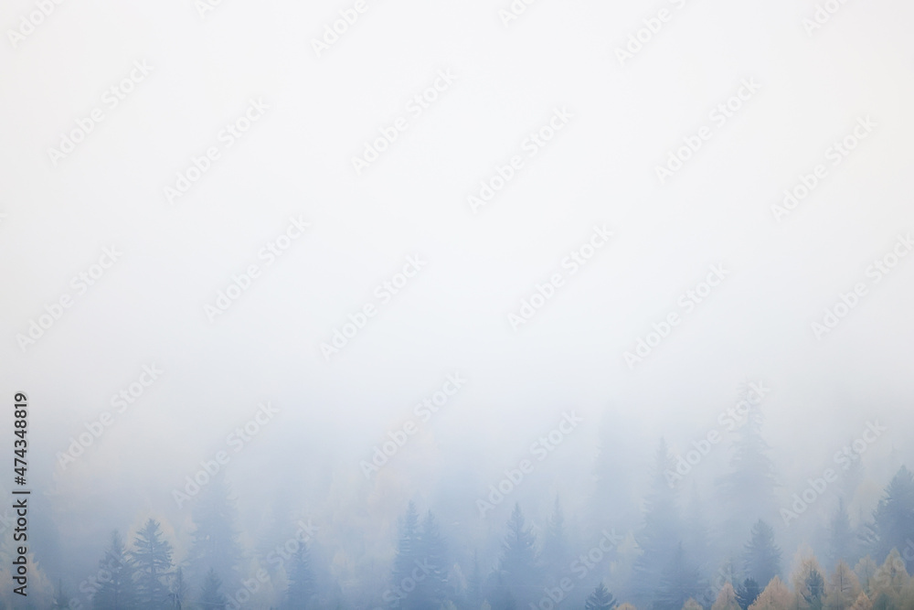 autumn fog landscape forest mountains, trees view mist autumn fog landscape forest mountains, trees view mist