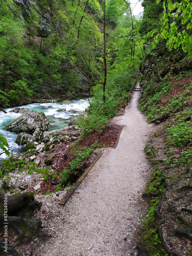Tolmin Gorge in Triglav national park, Slovenia Tolmin Gorge in Triglav national park, Slovenia