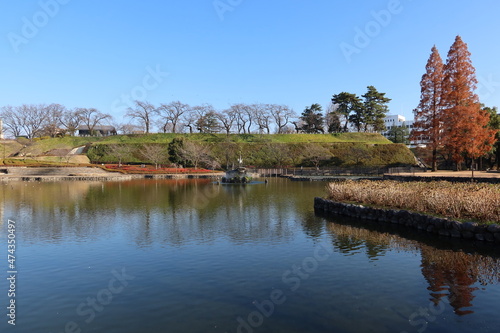  Sachino-ike Pond in Maebashi City in Cunma Prefecture in Japan　日本の群馬県前橋市にある前橋公園のさちの池 photo