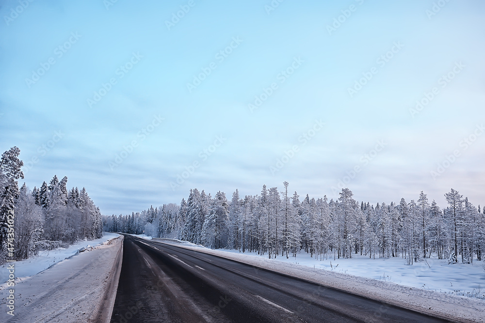 Obraz premium evening in winter forest landscape, view of dark trees mystic