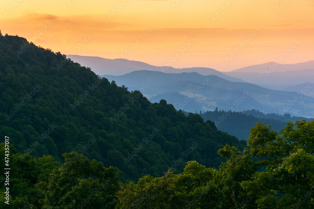 Obraz premium mountain ridge at dusk. scenic landscape with forested hills in evening light. sky with glowing clouds. beaautiful nature scenery in summer