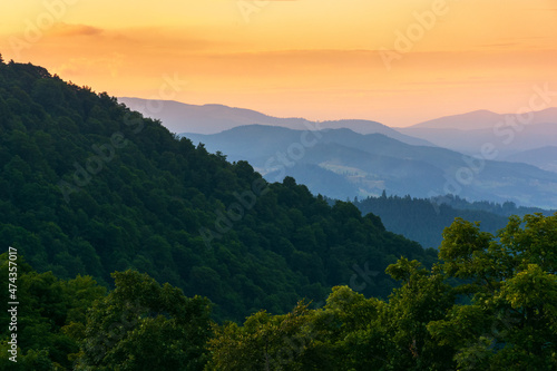 mountain ridge at dusk. scenic landscape with forested hills in evening light. sky with glowing clouds. beaautiful nature scenery in summer © Pellinni