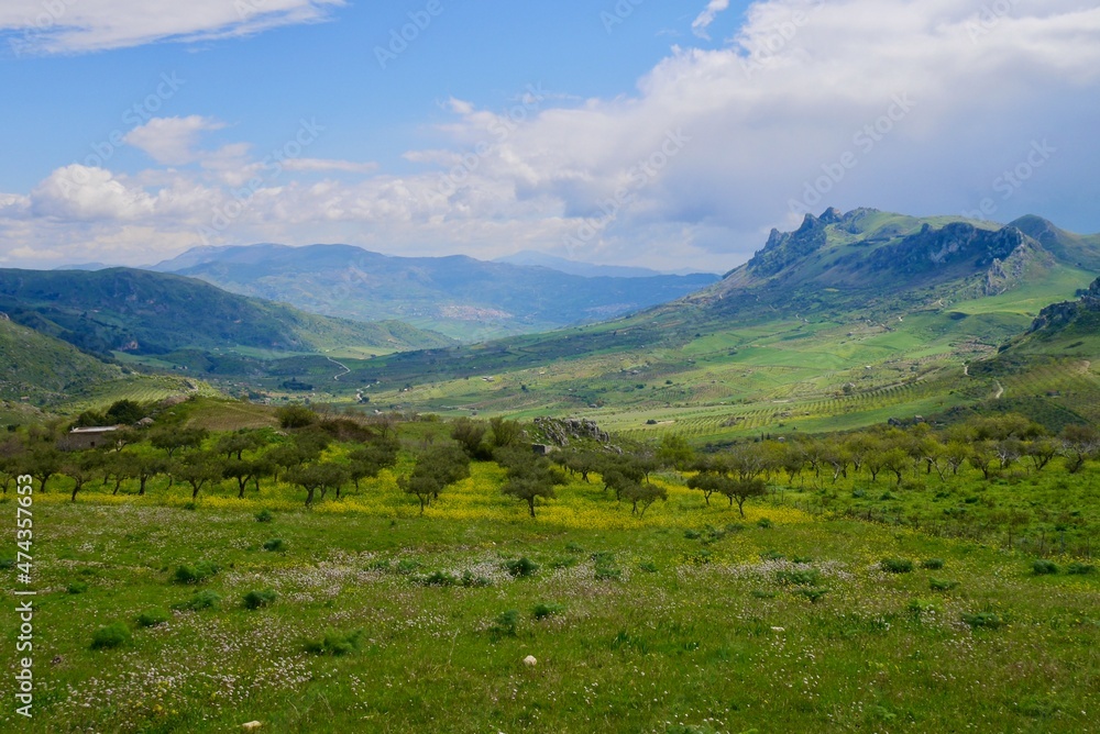 Fertile backcountry in the mountains after thunderstorm with olive tree plantation and flower meadows. Sicily, Italy.