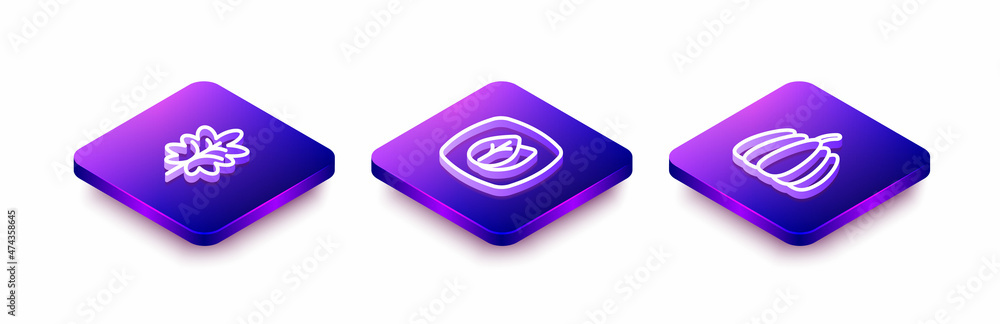 Set Isometric line Leaf, and Pumpkin icon. Vector Set Isometric line Leaf, and Pumpkin icon. Vector