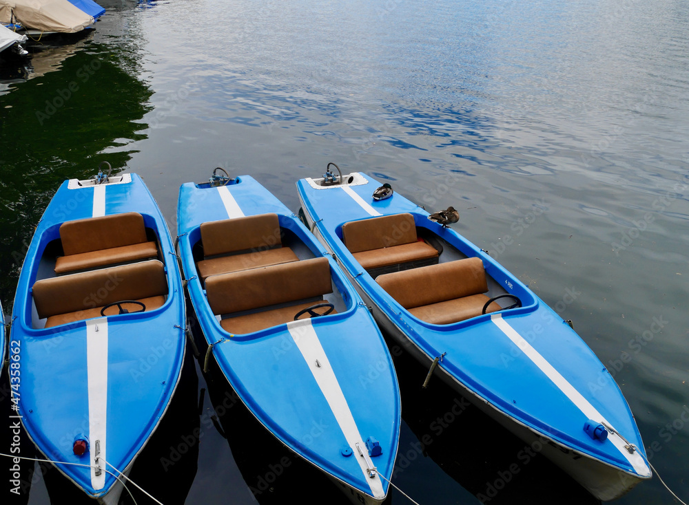 Blue canoes in Bregenz harbor, Lake of Constance. Vorarlberg, Austria.