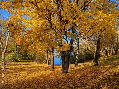 Bavarian autumn with lake photo