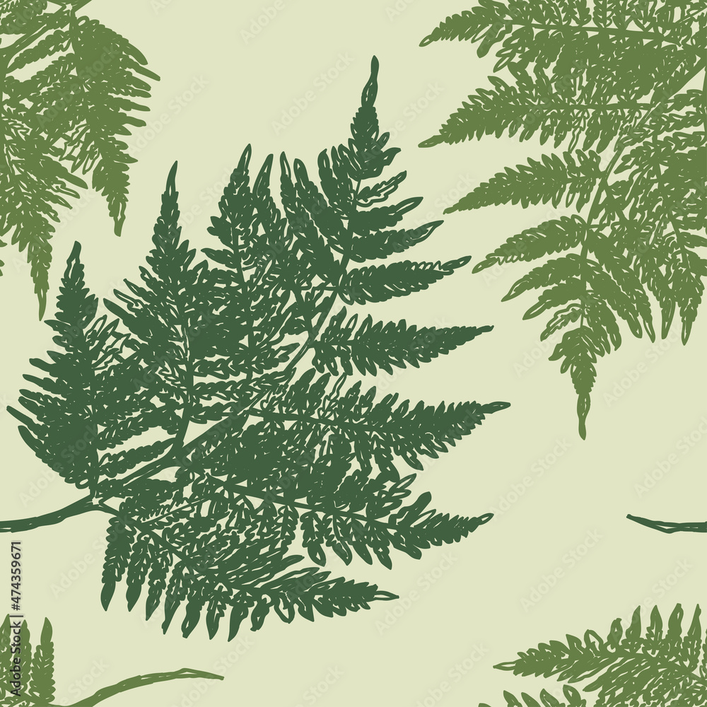 Obraz premium Seamless pattern of silhouette abstract drawn green fern leaves