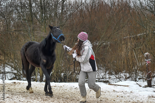 girl in winter with a horse in the paddock