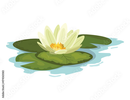 Marsh and wetland plant. Hand drawn botanical item. Swamp flora and fauna. Common plant grow in water, isolated illustration