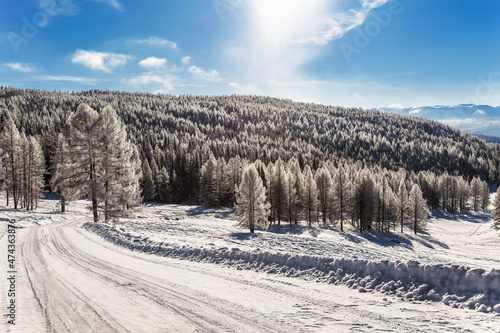 View on winter Altai, larch taiga with frost-covered trees and a winter road. Altai Republic, Russia