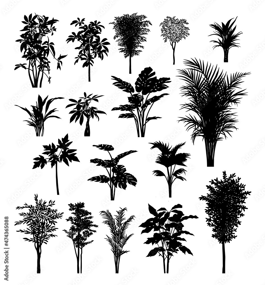 plants and trees set silhouette