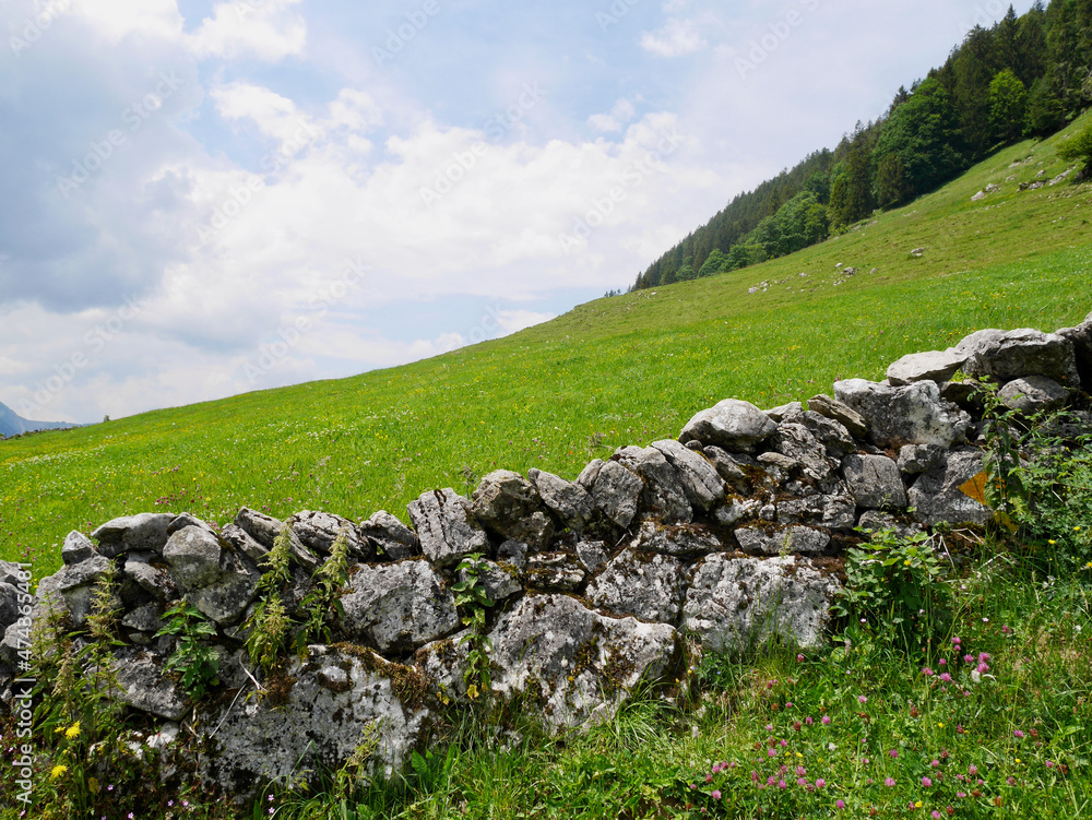 Traditional stone wall in the Swiss alps. Wildhaus, St.Gallen, Switzerland.